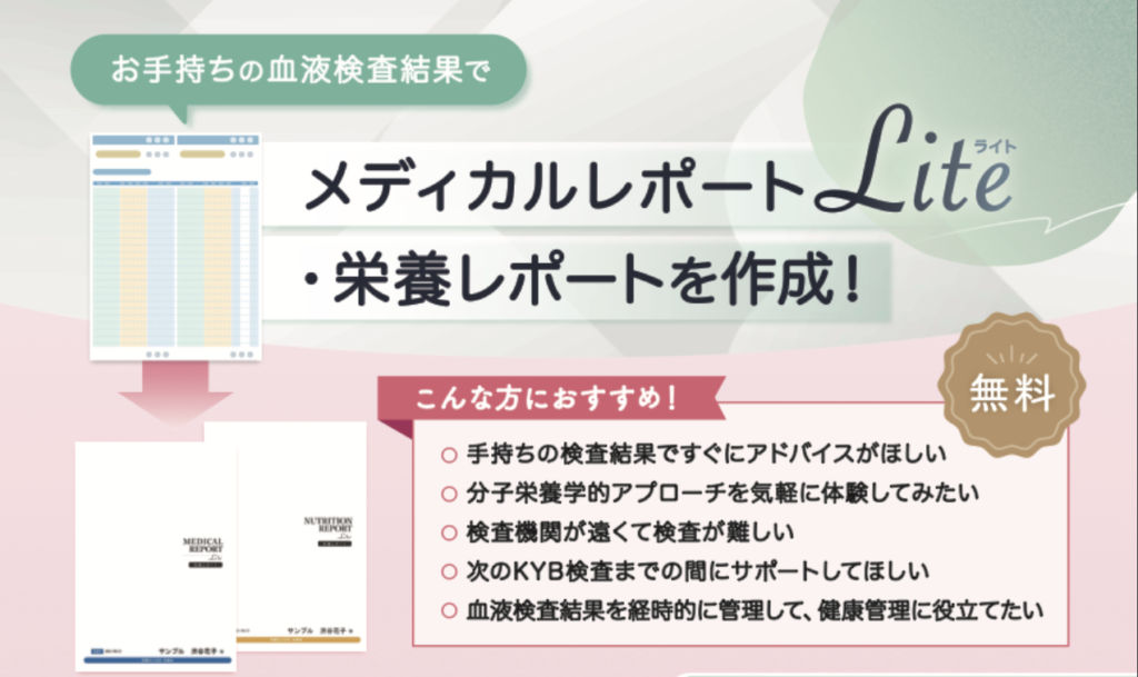 メディカルレポートライトについて